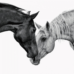 窺見(jiàn)心事，于你雙眸