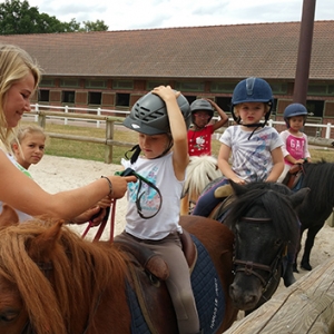 從學(xué)以致用到有“技”可施——法、德兩國馬術(shù)教育體系給我們的啟示 ...