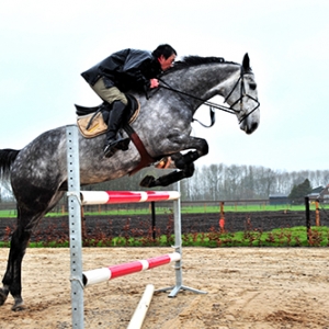 那些頂級(jí)障礙馬是如何煉成的？
