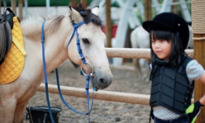 騎馬吧！爸爸