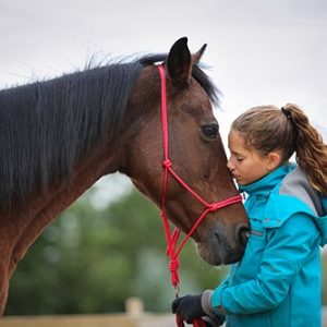 帶上一顆虔敬的心，騎馬去