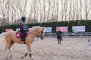 馬術(shù)云課堂，同心抗時(shí)疫——天星調(diào)良馬術(shù)抗疫記錄