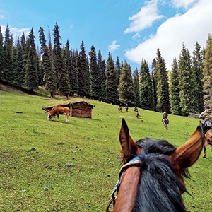 翻越黑達(dá)坂，探尋遠(yuǎn)山的秘密