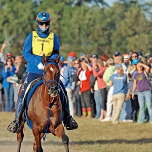 耐力賽中，如何挑選與你并肩的“伙伴”？