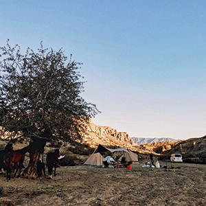 在荒野峽谷，尋找夜空中最亮的星