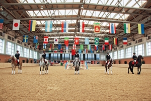 春城學(xué)府，呈貢伯樂