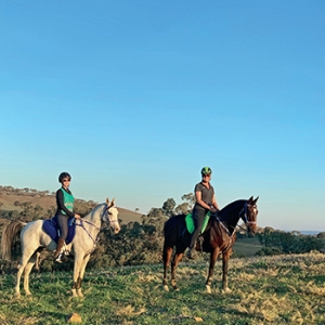 世有伯樂，然后有千里馬