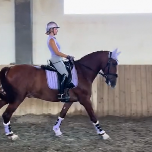 怎么讓?xiě)旭R“醒過(guò)來(lái)”：重建前進(jìn)動(dòng)力的實(shí)用訓(xùn)練