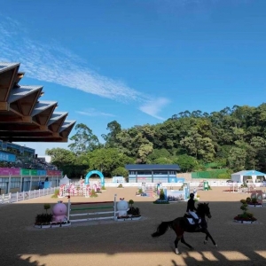 四年一屆全運(yùn)會(huì)，中國(guó)馬術(shù)運(yùn)動(dòng)的“體檢”之年