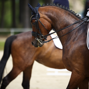 從必須到可選：大獎(jiǎng)賽水勒改革意味著什么？